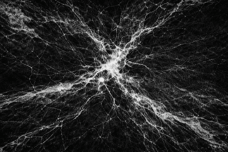 Vein Network
