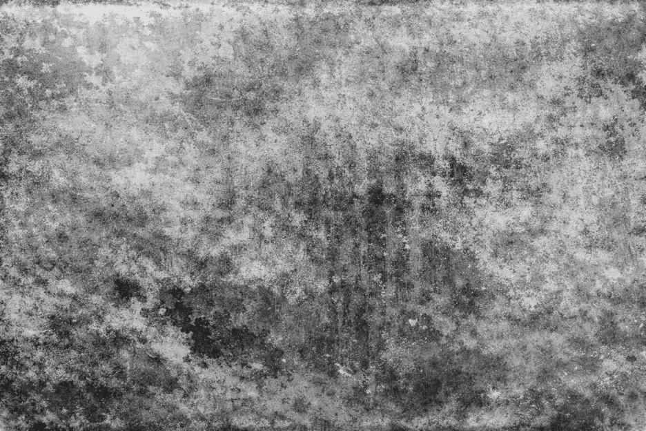 Dune Canvas