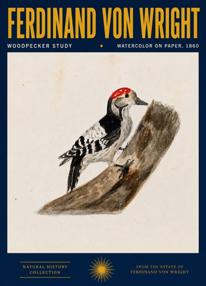 Ferdinand von Wright Woodpecker Study No4 - Poster