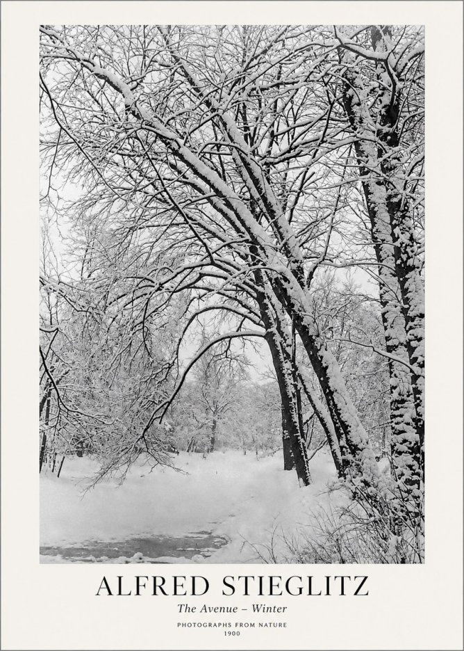 Alfred Stieglitz The Avenue – Winter No1 - Poster