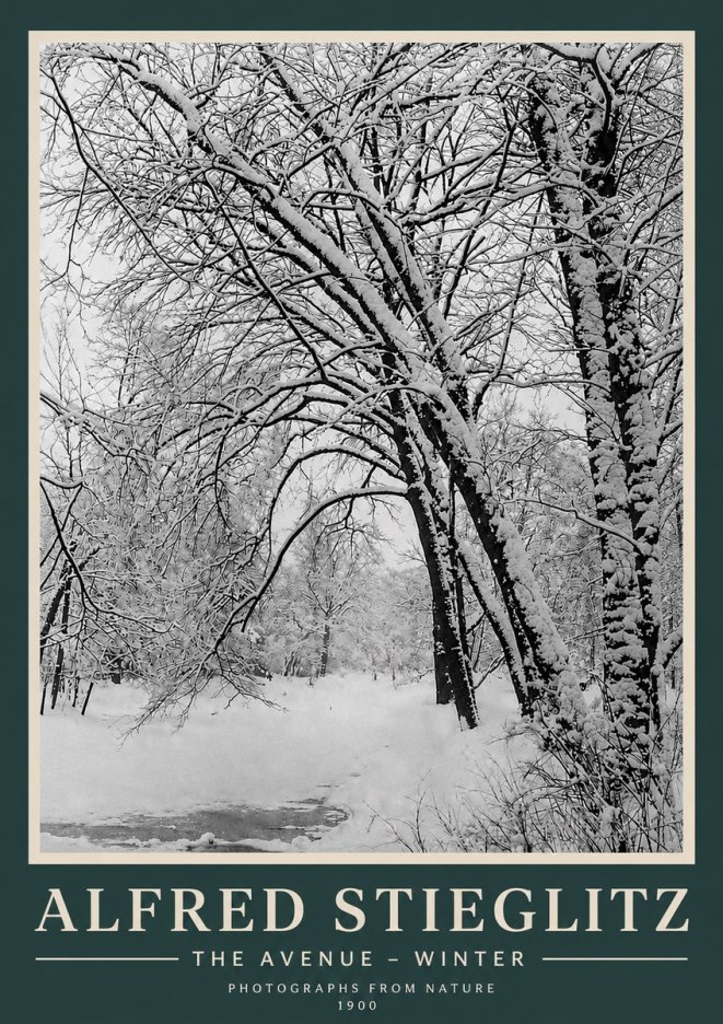 Alfred Stieglitz The Avenue – Winter No3 - Poster