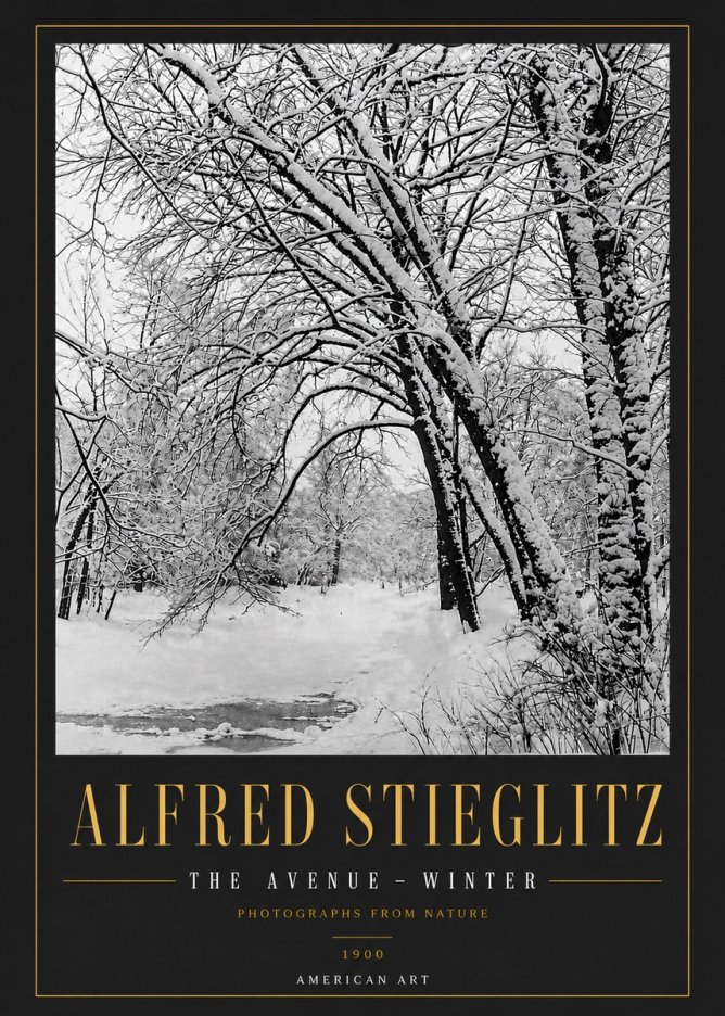 Alfred Stieglitz The Avenue – Winter No6 - Poster