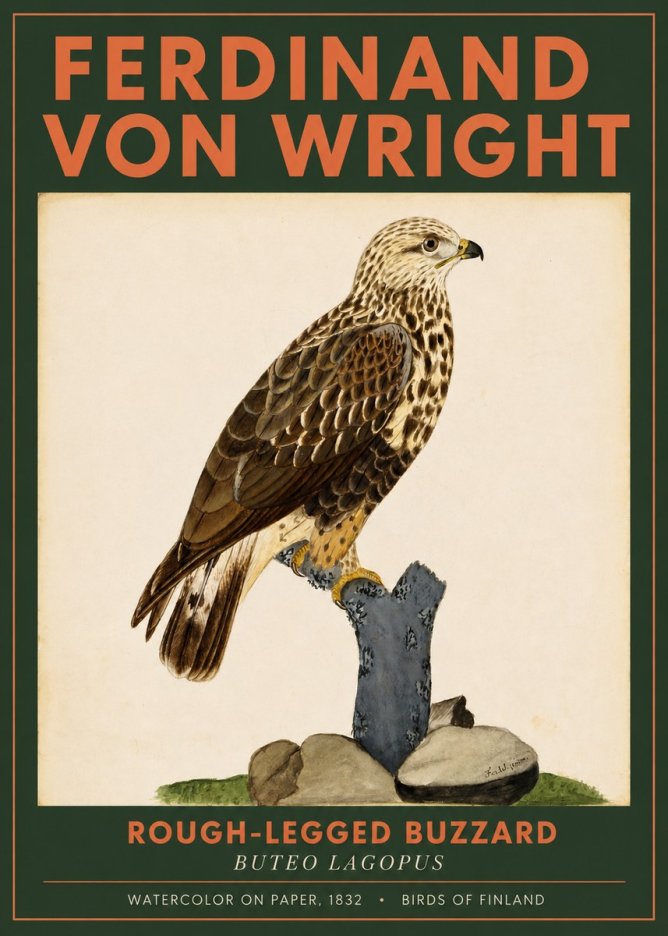 Ferdinand von Wright Rough-legged Buzzard No2 - Poster