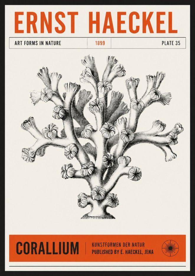 Ernst Haeckel Corallium Rubrum II No6 - Poster