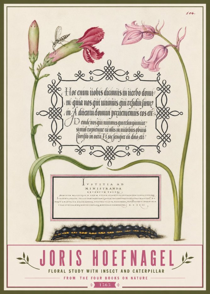 Joris Hoefnagel Floral Study with Insect and Caterpillar No3 - Poster
