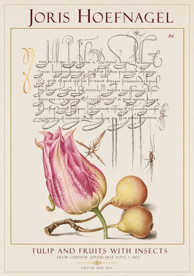 Joris Hoefnagel Tulip and Fruits with Insects No1 - Poster