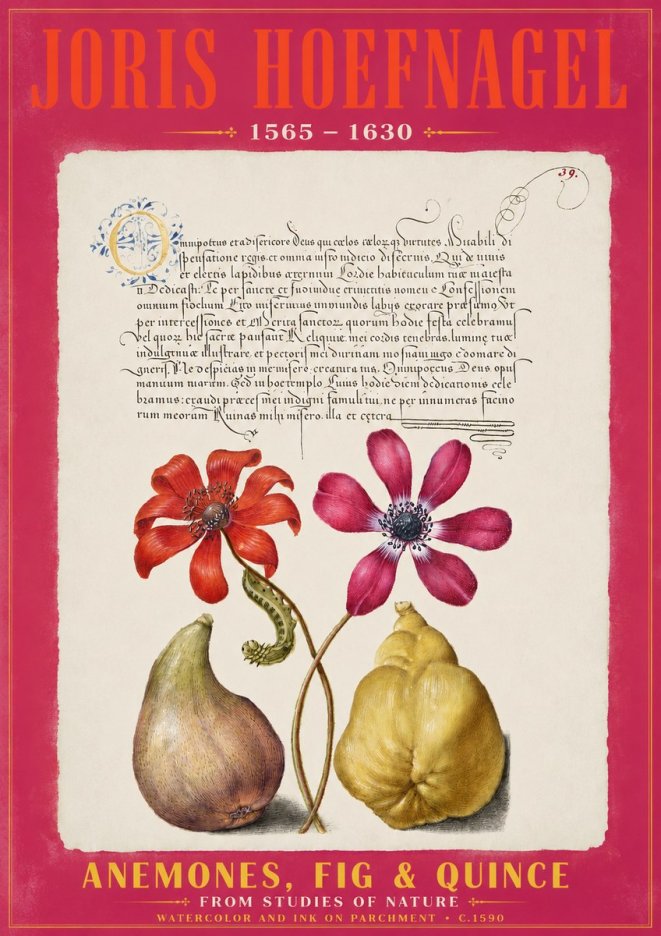 Joris Hoefnagel Flowers and Fruits No3 - Poster