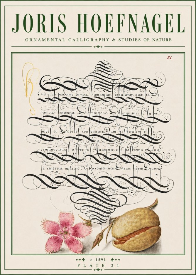 Joris Hoefnagel Ornamental Calligraphy & Studies of Nature No4 - Poster