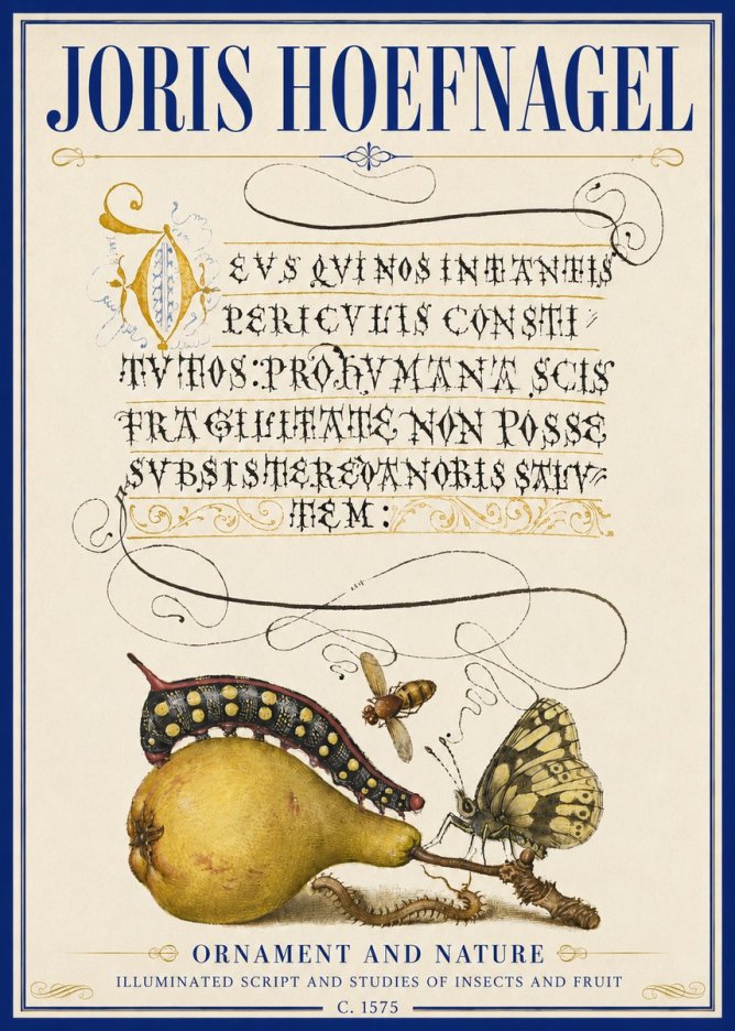 Joris Hoefnagel Ornament and Nature - Illuminated Script and Studies of Insects and Fruit No5 - Poster