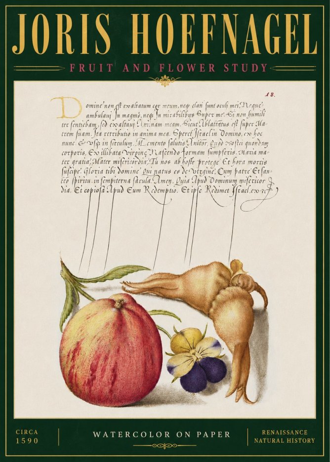 Joris Hoefnagel Fruit and Flower Study No4 - Poster