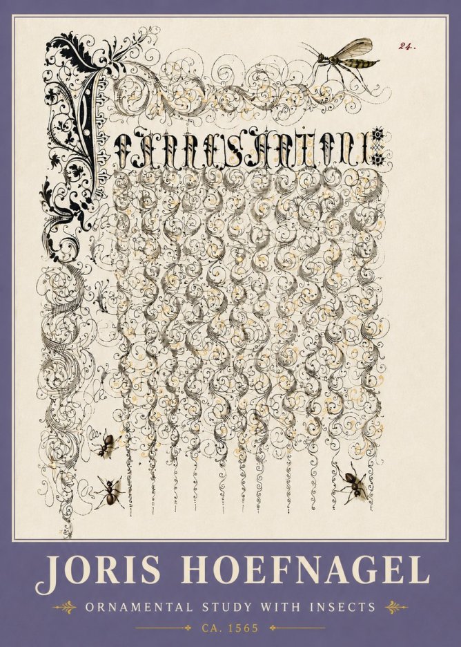 Joris Hoefnagel Ornamental Study with Insects No6 - Poster