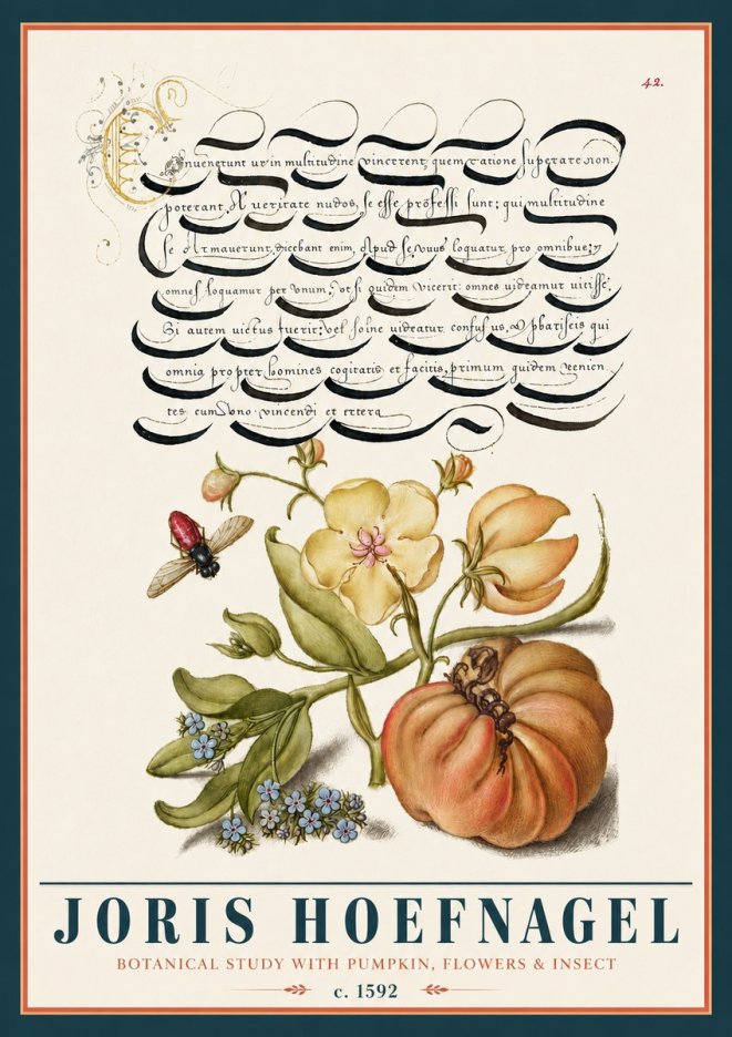 Joris Hoefnagel Botanical Study with Pumpkin, Flowers & Insect No5 - Poster
