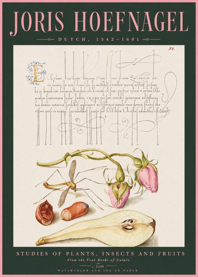Joris Hoefnagel Studies of Plants, Insects and Fruits No2 - Poster