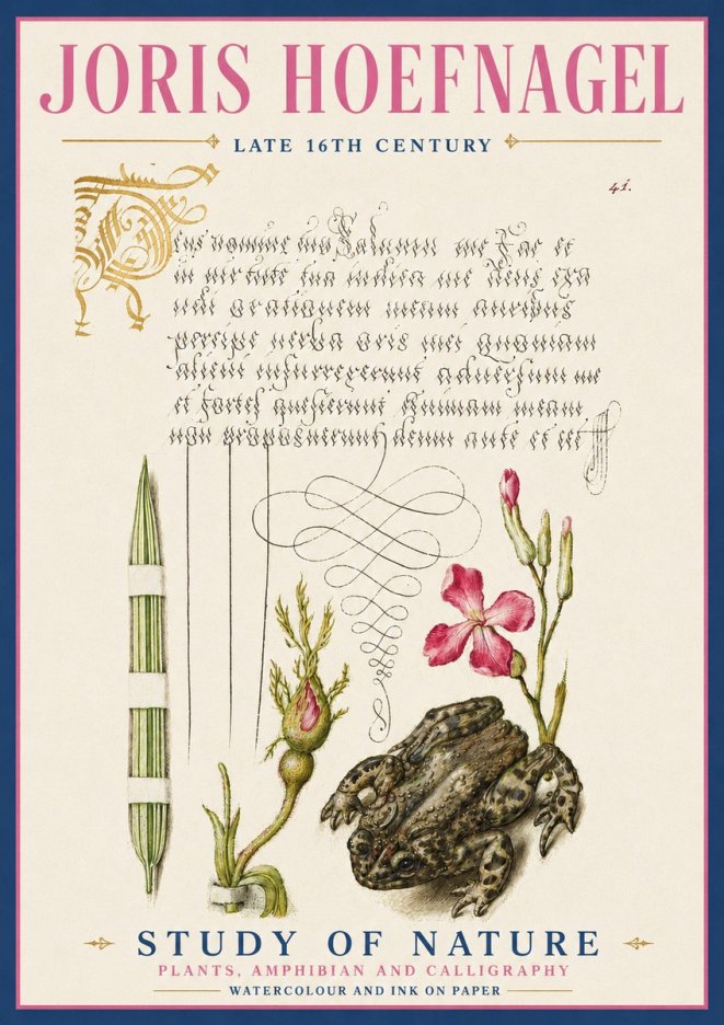Joris Hoefnagel Study of Nature I No5 - Poster