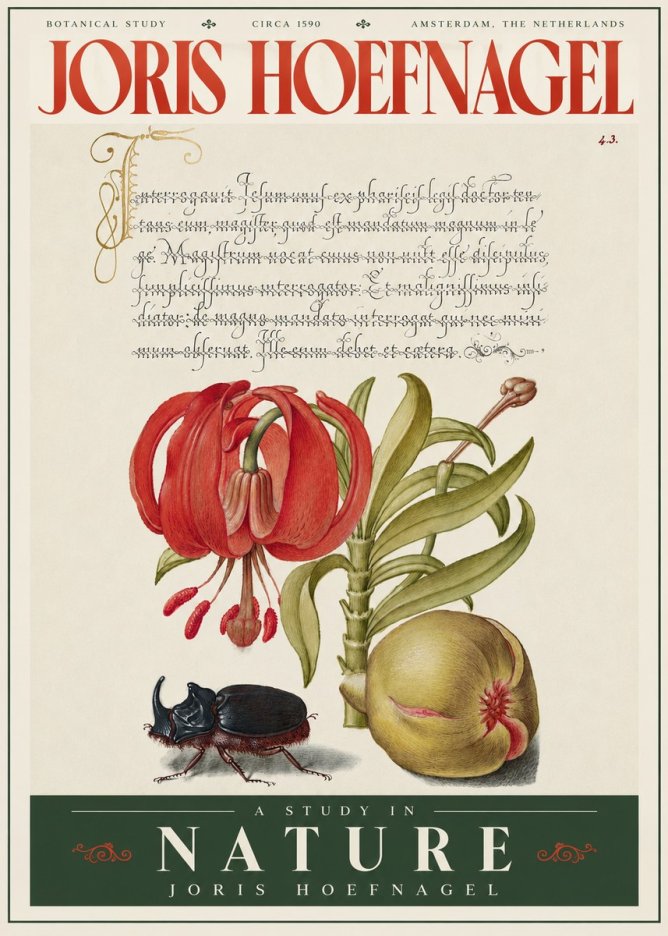 Joris Hoefnagel Botanical Study II No4 - Poster