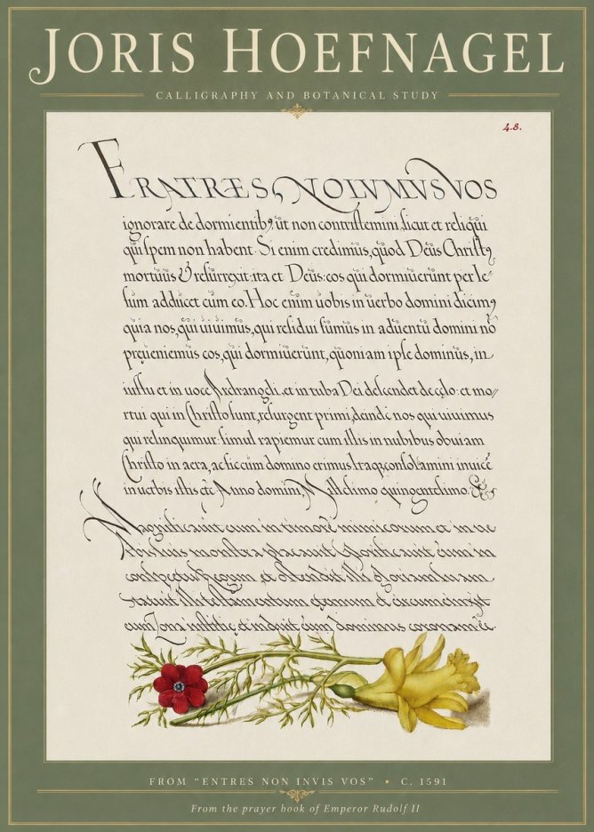 Joris Hoefnagel Calligraphy and Botanical Study I No4 - Poster