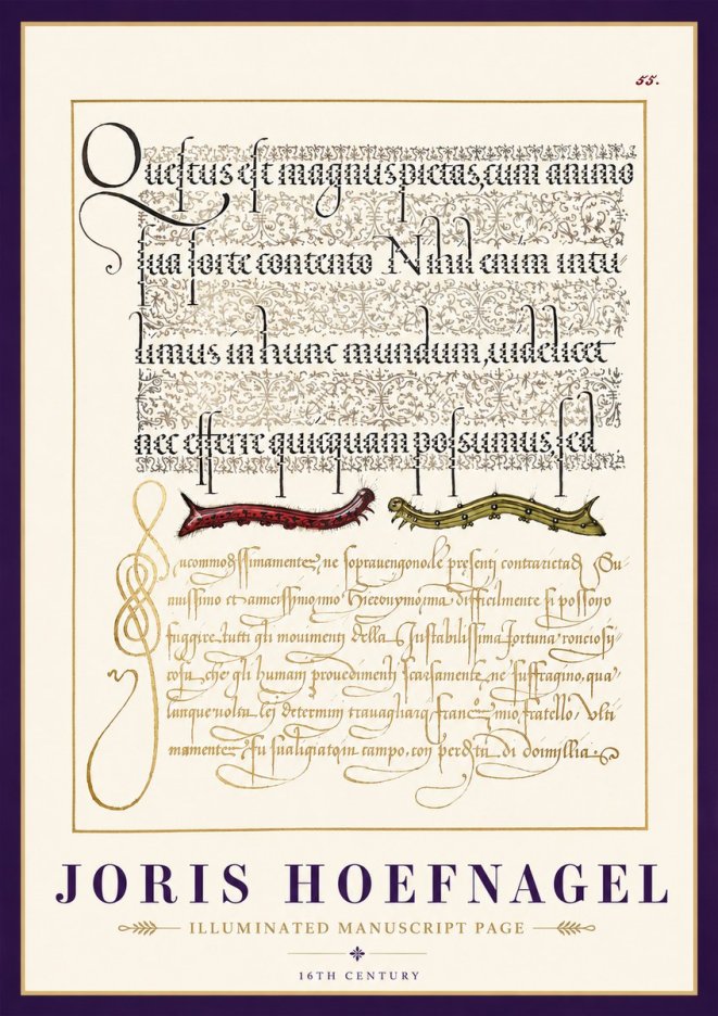 Joris Hoefnagel Illuminated Manuscript Page I No3 - Poster