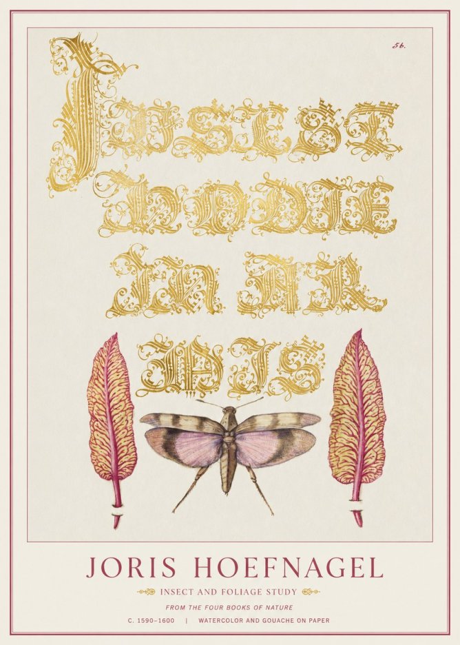 Joris Hoefnagel Insect and Foliage Study No1 - Poster