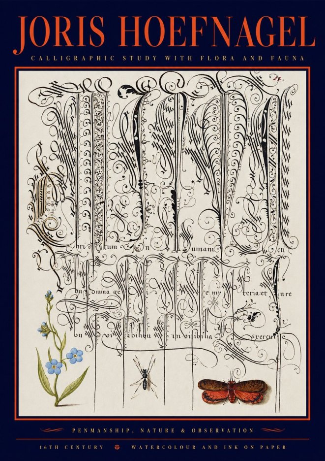 Joris Hoefnagel Calligraphic Study with Flora and Fauna No2 - Poster