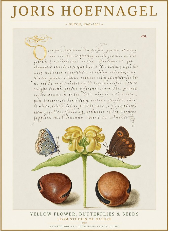 Joris Hoefnagel Yellow Flower, Butterflies & Seeds No1 - Poster