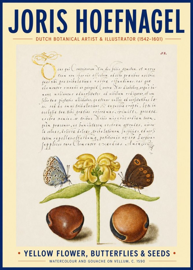 Joris Hoefnagel Yellow Flower, Butterflies & Seeds No3 - Poster