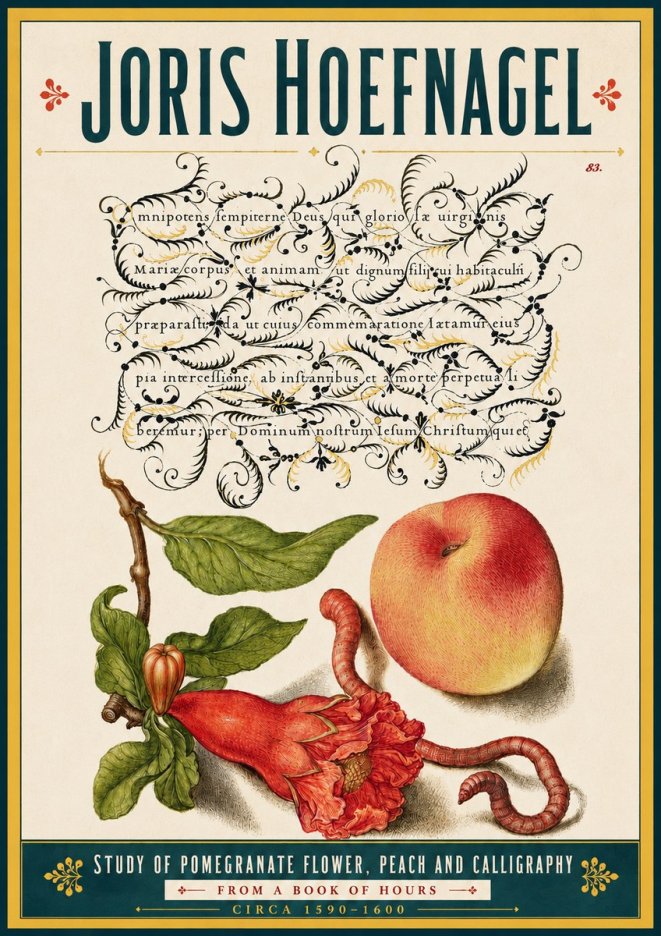 Joris Hoefnagel Study of Pomegranate Flower, Peach and Calligraphy from a Book of Hours No5 - Poster