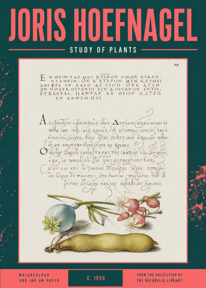 Joris Hoefnagel Study of Plants I No2 - Poster