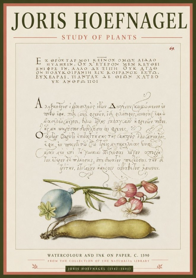 Joris Hoefnagel Study of Plants I No3 - Poster