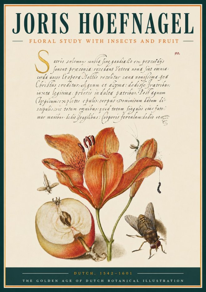 Joris Hoefnagel Floral Study with Insects and Fruit No3 - Poster