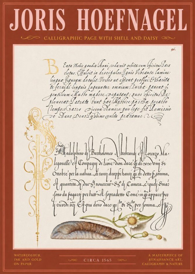 Joris Hoefnagel Calligraphic Page with Shell and Daisy No2 - Poster