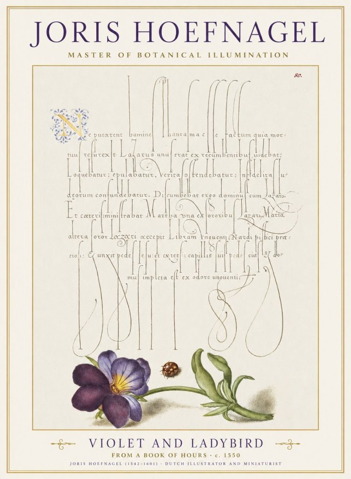 Joris Hoefnagel Violet and Ladybird No1 - Poster
