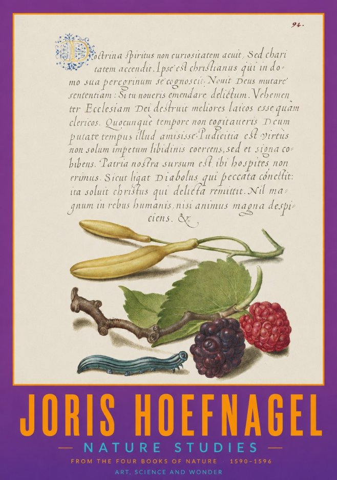 Joris Hoefnagel Nature Studies No2 - Poster