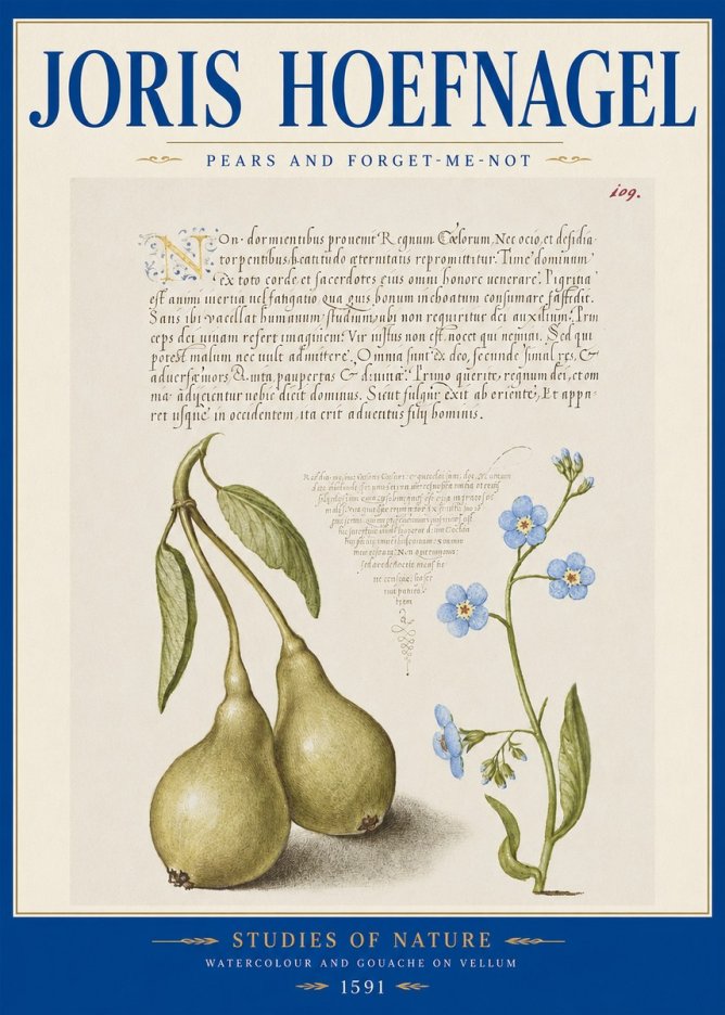 Joris Hoefnagel Pears and Forget-me-not No2 - Poster
