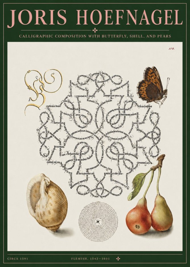 Joris Hoefnagel Calligraphic Composition with Butterfly, Shell, and Pears No3 - Poster