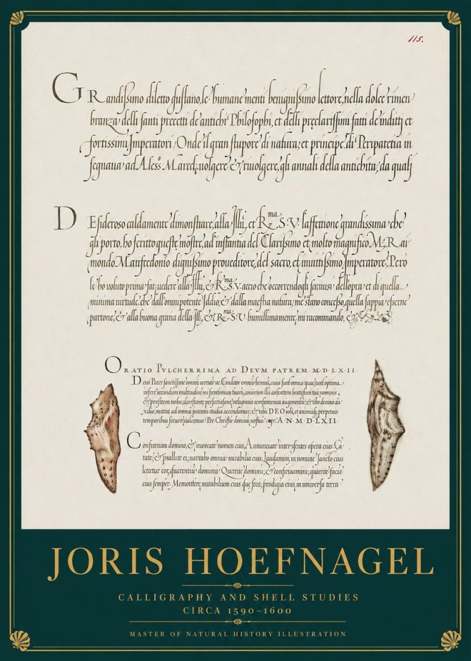 Joris Hoefnagel Study of Shells and Calligraphy No4 - Poster