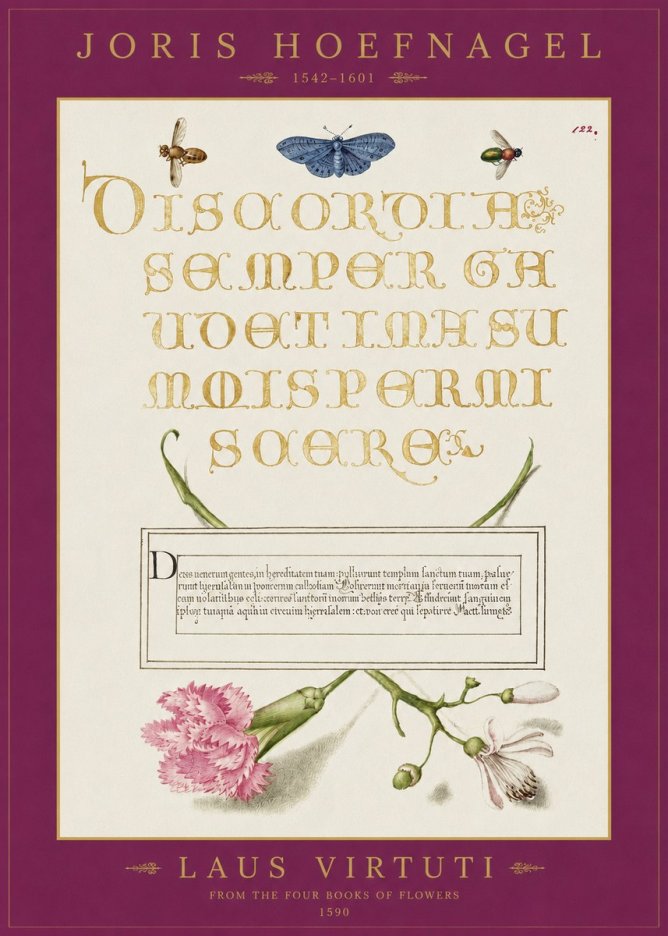 Joris Hoefnagel Laus Virtuti No2 - Poster