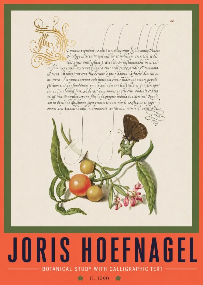 Joris Hoefnagel Botanical Study with Calligraphic Text No2 - Poster