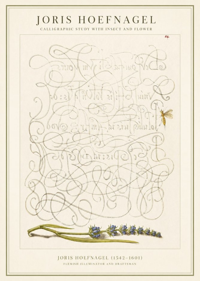 Joris Hoefnagel Calligraphic Study with Insect and Flower No1 - Poster