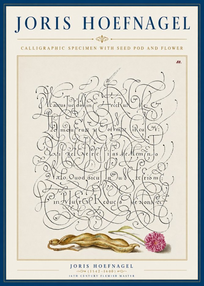 Joris Hoefnagel Calligraphic Specimen with Seed Pod and Flower No5 - Poster