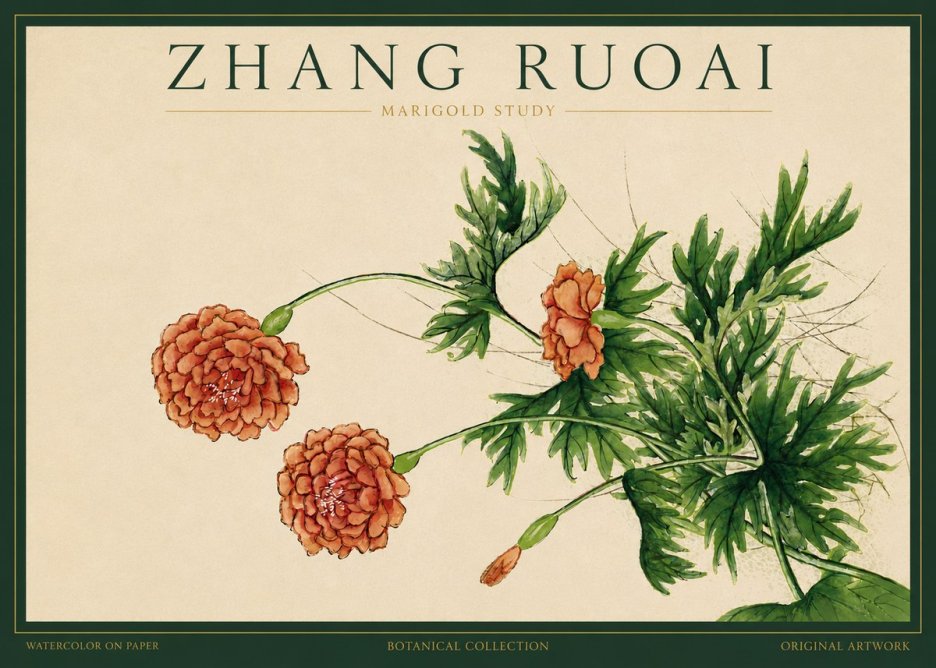 Zhang Ruoai Marigold Study No3 - Poster
