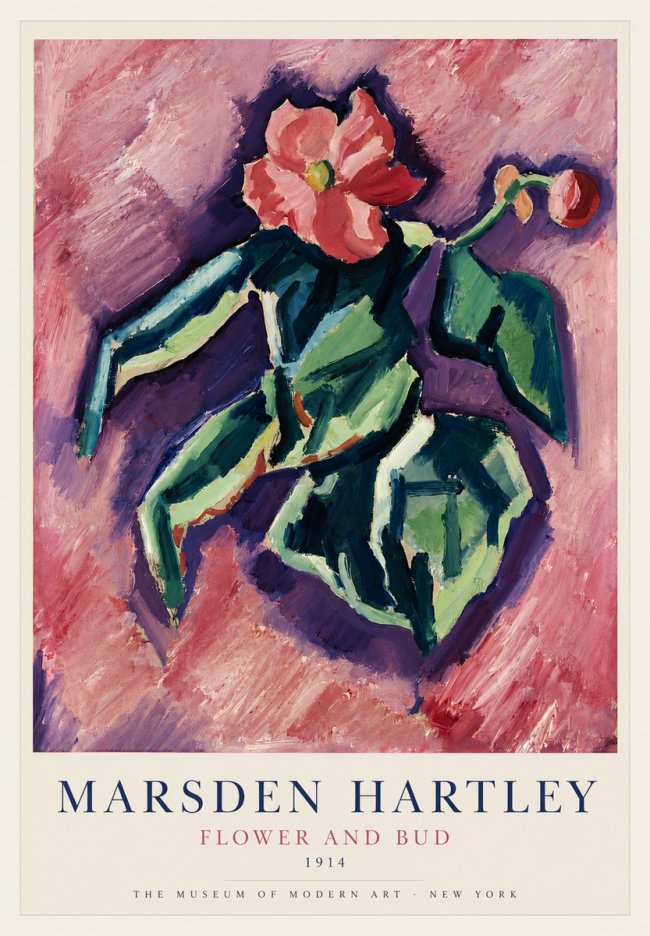 Marsden Hartley Flower and Bud No3 - Poster