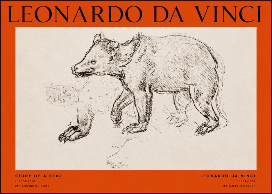 Leonardo da Vinci Study of a Bear No2 - Poster