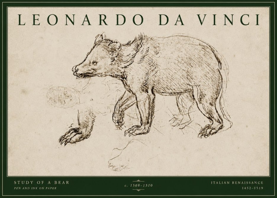 Leonardo da Vinci Study of a Bear No4 - Poster