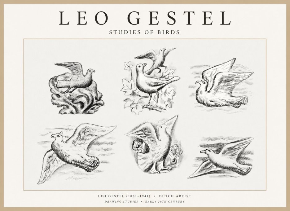 Leo Gestel Studies of Birds No1 - Poster