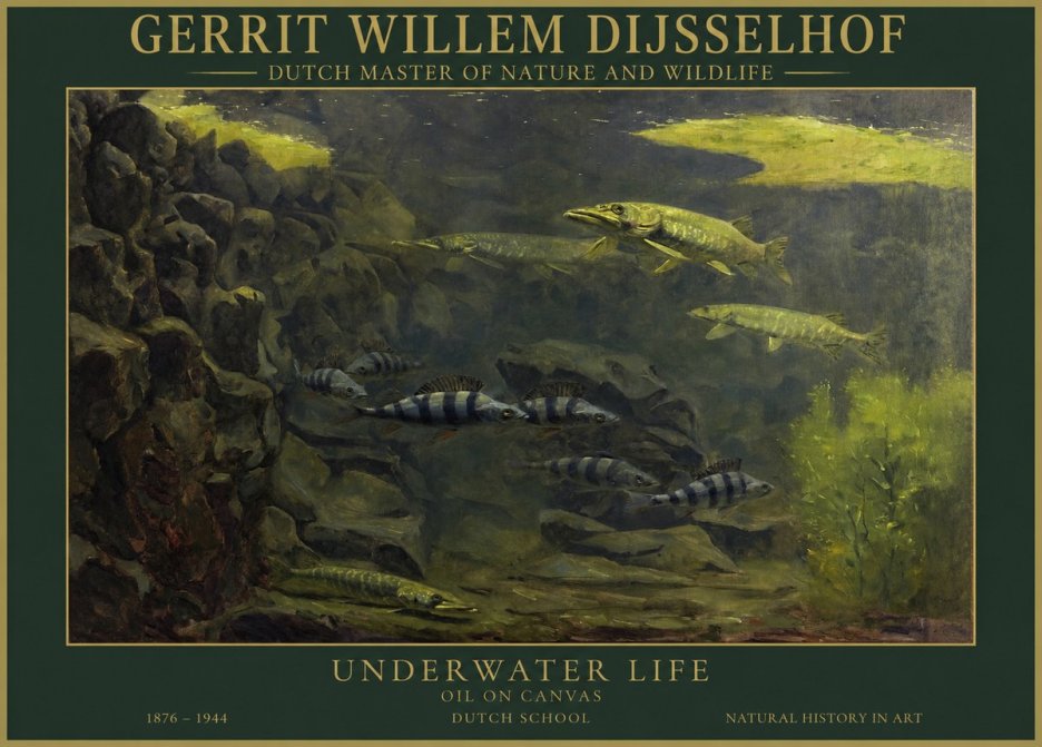 Gerrit Willem Dijsselhof Underwater Life No1 - Poster