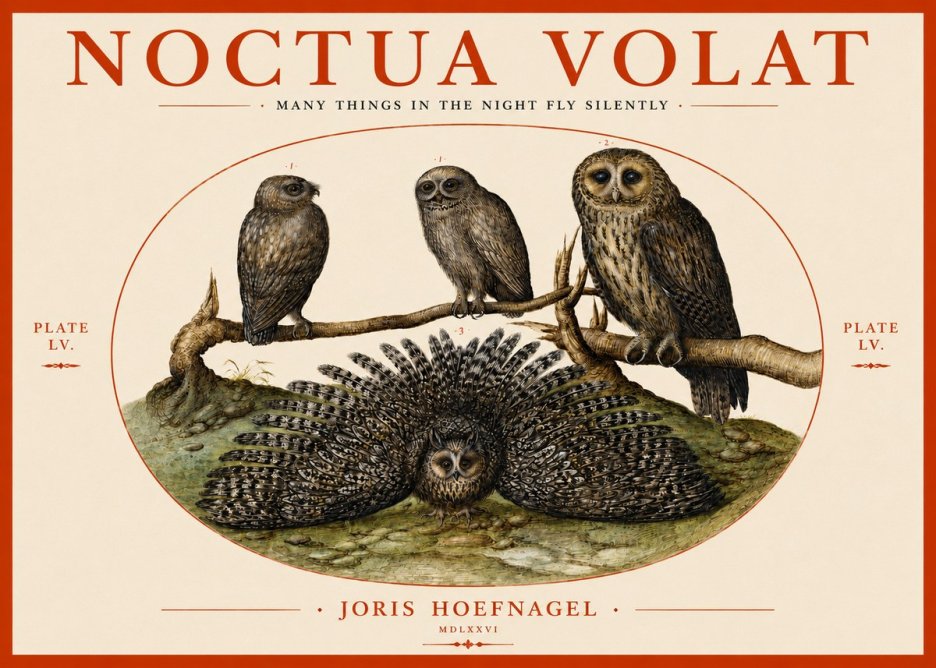 Joris Hoefnagel Noctva Volat No4 - Poster
