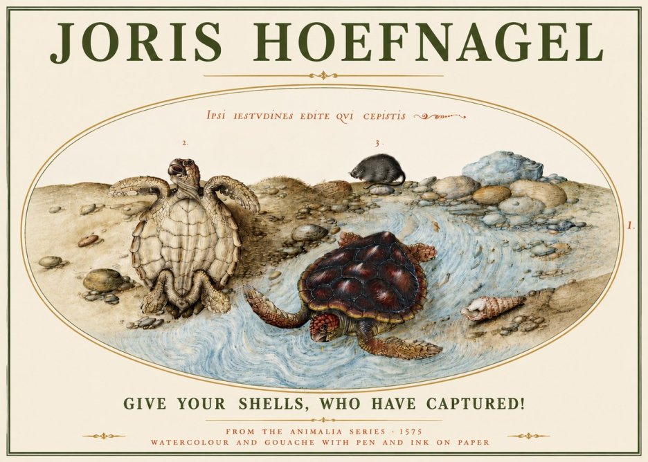 Joris Hoefnagel Two Turtles in a Stream No5 - Poster