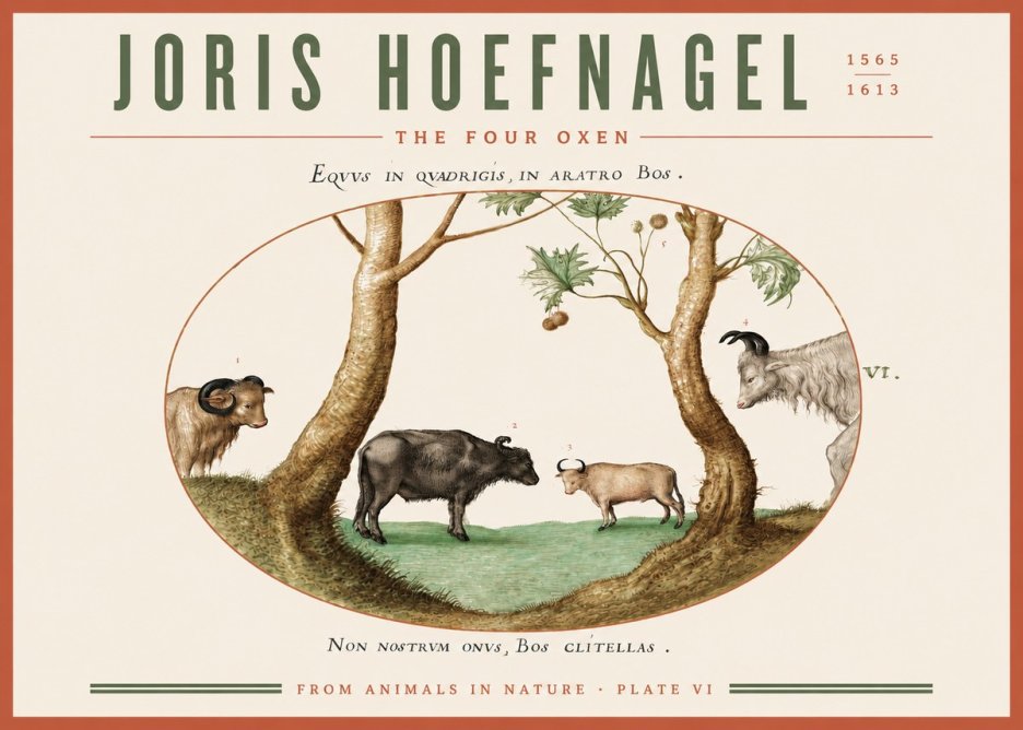 Joris Hoefnagel The Four Oxen No3 - Poster