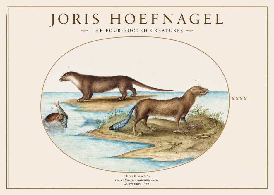 Joris Hoefnagel The Four-footed Creatures No1 - Poster