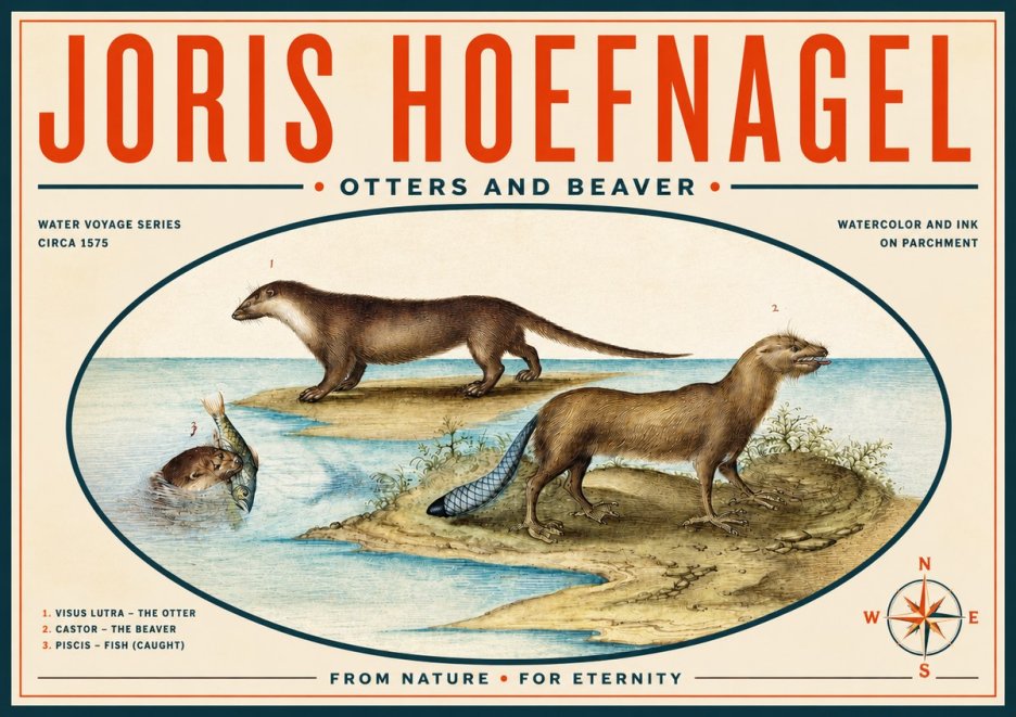 Joris Hoefnagel The Four-footed Creatures No6 - Poster